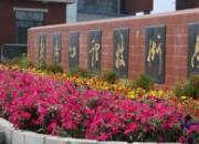 【今日朝陽網(wǎng)】 2015年高考朝陽工校再創(chuàng)歷史新高