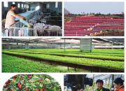 【今日朝陽(yáng)網(wǎng)】化石古玉之都 轉(zhuǎn)型發(fā)展之城（七）