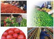 【今日朝陽(yáng)網(wǎng)】化石古玉之都 轉(zhuǎn)型發(fā)展之城（九）