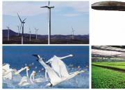 【今日朝陽(yáng)網(wǎng)】化石古玉之都   轉(zhuǎn)型發(fā)展之城（十）