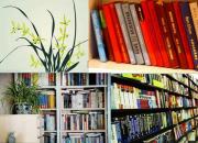 【今日朝陽(yáng)網(wǎng)】 朝陽(yáng)詞苑吐新枝