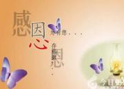 【今日朝陽網】細嗅感恩之芬芳