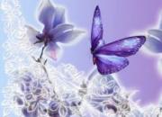 【今日朝陽網】掌紋