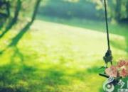 【今日朝陽網】懷著一顆感恩的心追夢