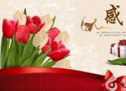 【今日朝陽網】心存感恩，策勵前行