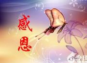 【今日朝陽網】感恩有你，與愛同行