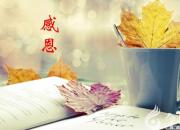 【今日朝陽網】讓感恩永駐我心