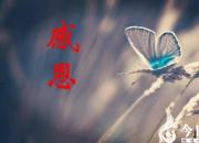 【今日朝陽網】感恩那一抹柔情