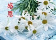 【今日朝陽網】擁有一顆感恩的心