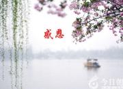 【今日朝陽網】感恩生命