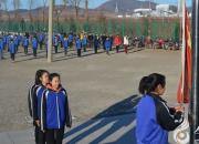 【今日朝陽網(wǎng)】朝陽下的報春花