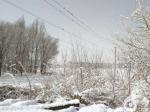 【今日朝陽(yáng)網(wǎng)】三月雪