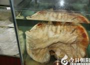 【今日朝陽網(wǎng)】朝陽鳳凰山“五一”活動(dòng)很誘人