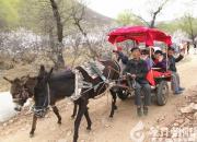 京城名家許澄宇圓滿完成朝陽寫生任務(wù)（秦首先）