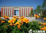 【今日朝陽網(wǎng)】朝陽工校今秋招生四大亮點很誘人