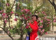 【今日朝陽網(wǎng)】有美一人，宛若清蓮（徐婉露）