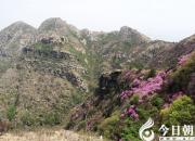 【民間傳說(shuō)】錄舉人的傳說(shuō)（下）（王玉華）