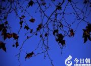 【今日朝陽(yáng)網(wǎng)】我愛藍(lán)色的夜晚（姚玉民）