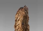 【今日朝陽(yáng)網(wǎng)】千言難賦“天一石”（姚玉民）