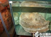 【民間傳說】太歲頭上動土（王玉華）