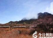 【今日朝陽(yáng)網(wǎng)】題桃花山木雕三首（姚玉民）