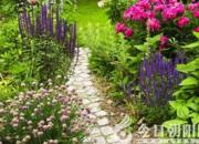 【今日朝陽(yáng)網(wǎng)】南海行吟二十一首（姚玉民）