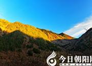 【今日朝陽(yáng)網(wǎng)】題皓然居奇石四首（姚玉民）