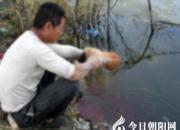 【民間傳說(shuō)】南方人憋寶之一（王玉華）