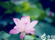 【民間傳說(shuō)】好人有好報(bào)（王玉華）