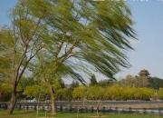 【民間傳說(shuō)】風(fēng)神的傳說(shuō)（王玉華）