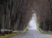 【今日朝陽網(wǎng)】拒絕老年癡呆（美國(guó)紀(jì)行之十二）（鄒本殿）