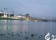 【今日朝陽網(wǎng)】夜到辛辛那提（美國(guó)紀(jì)行之十三）（鄒本殿）