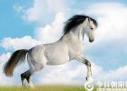 【民間傳說(shuō)】快（王玉華）