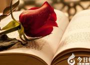 【今日朝陽網(wǎng)】你看，這就是生活（王佳伊）