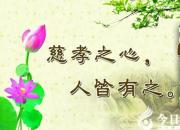 【今日朝陽網(wǎng)】青春正當時，少年安能不向上（王薪同）