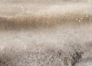 【今日朝陽網(wǎng)】禮儀之邦，千年風雅韓（佳彤 顧長安）