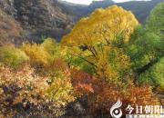 【今日朝陽網(wǎng)】清溪奏古韻，花迷游客眼的劈山溝（孫超）