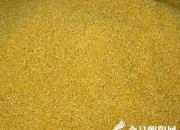 【今日朝陽網(wǎng)】喀左陳醋走西口 遼西小米進京城（邸玉超）