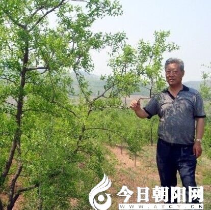 點(diǎn)擊查看大圖