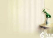 【今日朝陽網(wǎng)】《心靈獨語》系列——苦難（趙淑清）