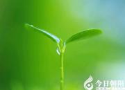 【今日朝陽(yáng)網(wǎng)】《心靈獨(dú)語(yǔ)》系列——希望（趙淑清）