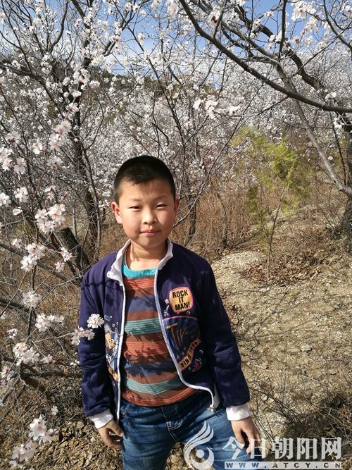 點(diǎn)擊查看大圖