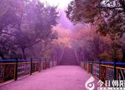 【今日朝陽網(wǎng)】心中最美的勝地（趙蘊(yùn)涵）