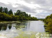 【今日朝陽(yáng)網(wǎng)】生活的重量（上篇）——嫉妒（趙淑清）