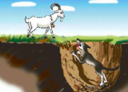 【今日朝陽網】續(xù)寫《會搖尾巴的狼》（孫雪）