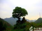 【今日朝陽(yáng)網(wǎng)】凌源河坎子美景（米鐵成）