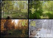 【今日朝陽網】“四季”家庭（王煜錚）