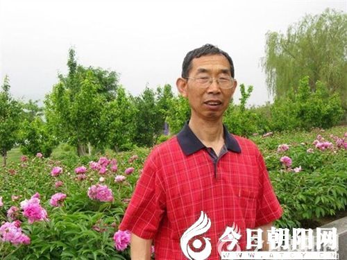 點(diǎn)擊查看大圖