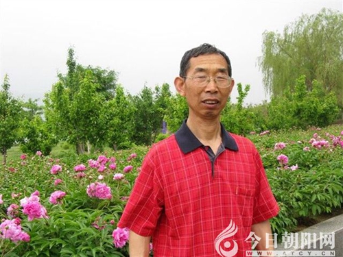 點(diǎn)擊查看大圖