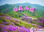 【今日朝陽(yáng)網(wǎng)】最美山花（下）（劉文艷）